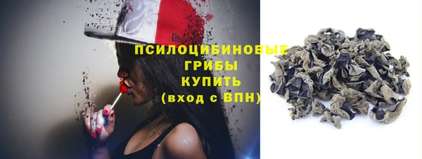 гашик Семёнов