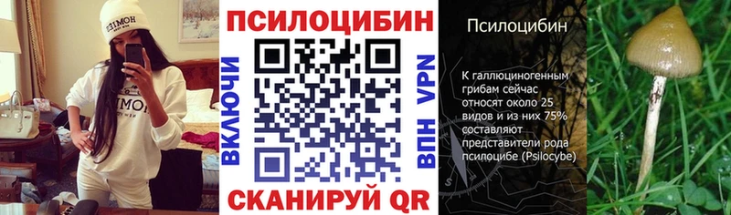 Псилоцибиновые грибы прущие грибы Астрахань